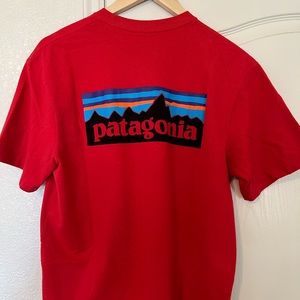 Patagonia Resposibili-Tee